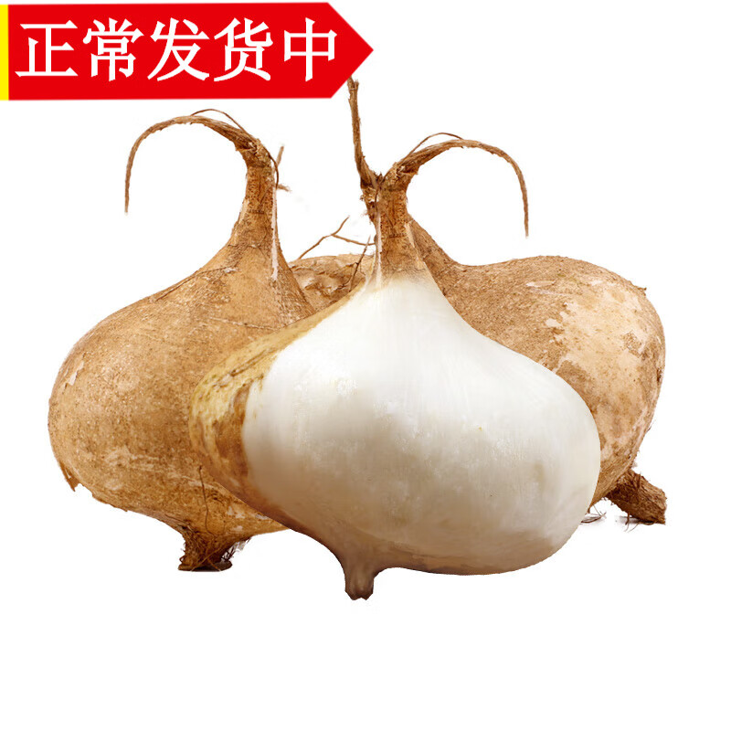 辰实【现货】白地瓜新鲜 凉薯水果 白地瓜生吃 土瓜 9斤 (划算)推荐