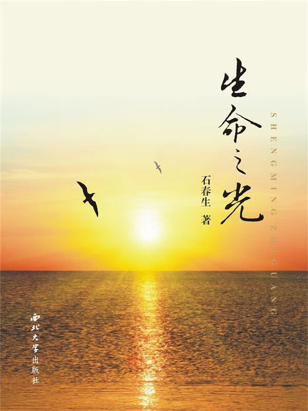 生命之光 石春生【正版】