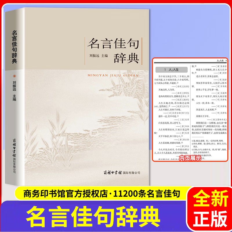 名言佳句辞典 初中高中生青少年大学生语文课外阅读常备工具书古今中外名言佳句好词好句收集鉴赏