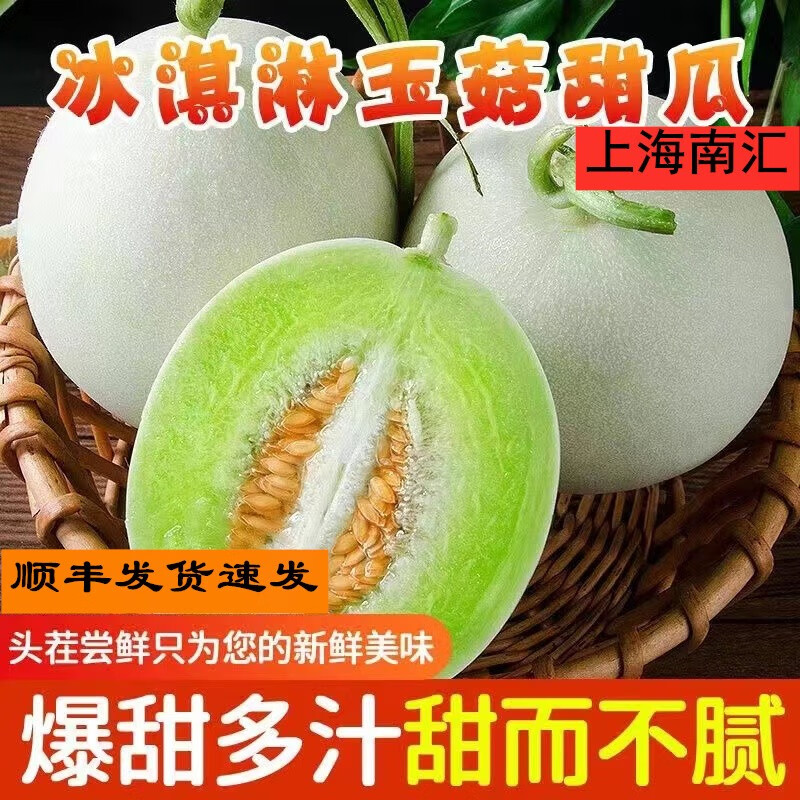 拾亩记上海南汇玉菇甜瓜新鲜现摘白瓜香瓜生鲜水果整箱当季绿肉蜜瓜