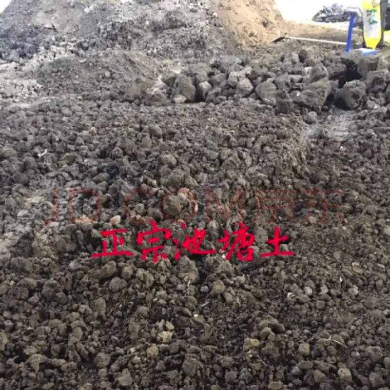 泥土池塘土種植土荷塘泥土有機(jī)魚塘土營養(yǎng)土種菜種花養(yǎng)魚通用塘泥 40斤塘泥