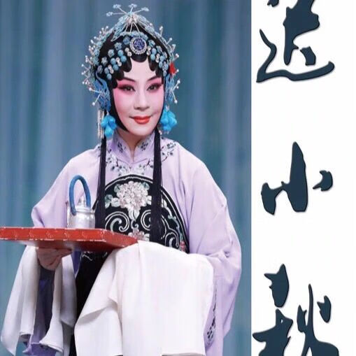 锁麟囊 荒山泪音频mp3 128mb 迟小秋音频 内存卡