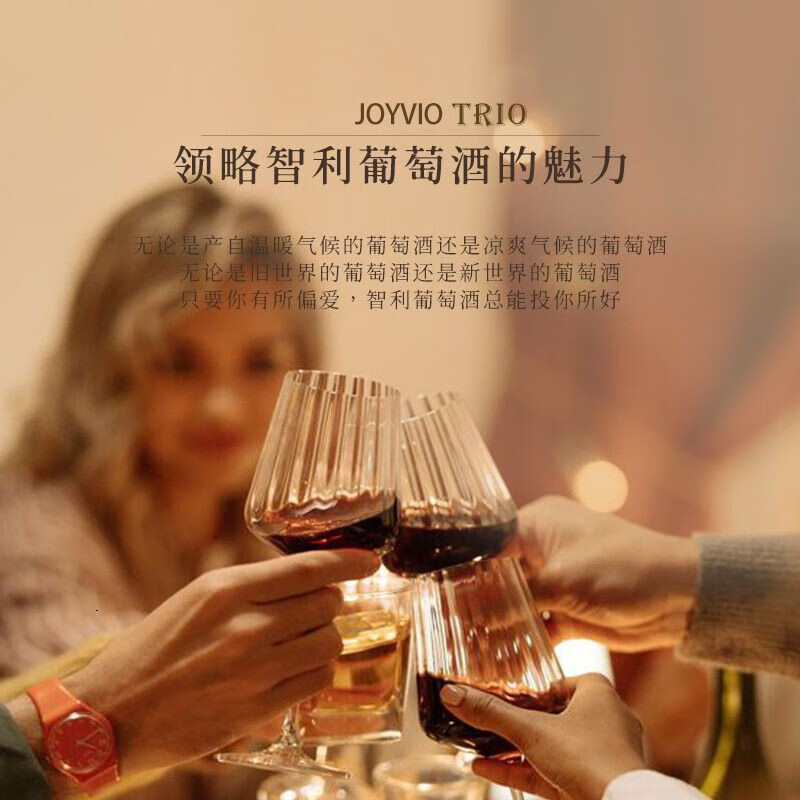 佳沃醇美汇【中央山谷核心产区】智利进口红酒干红葡萄酒整箱礼盒送礼【醒酒器自饮】灵魂三重奏六支装主图8