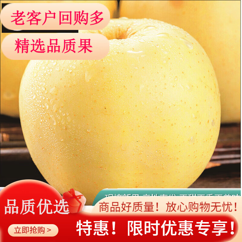鲜青录黄元帅苹果新鲜水果面苹果老人吃黄金苹果金帅 10斤大果