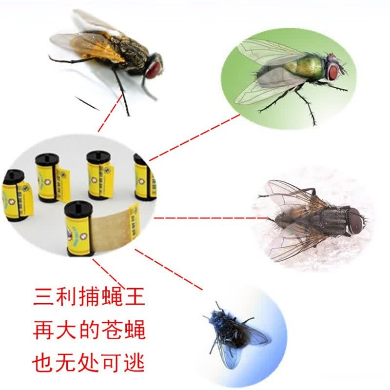 三利消毒高品质捕蝇王苍蝇贴粘蝇条纸板彩带无农药宠物儿童安全70厘米长效 15卷