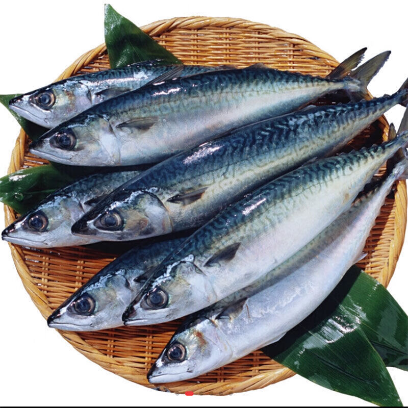 鲐鱼 青占鱼 新鲜青花鱼整条冻深海青鱼鲐鱼 冷冻日料海鲜水产 一条