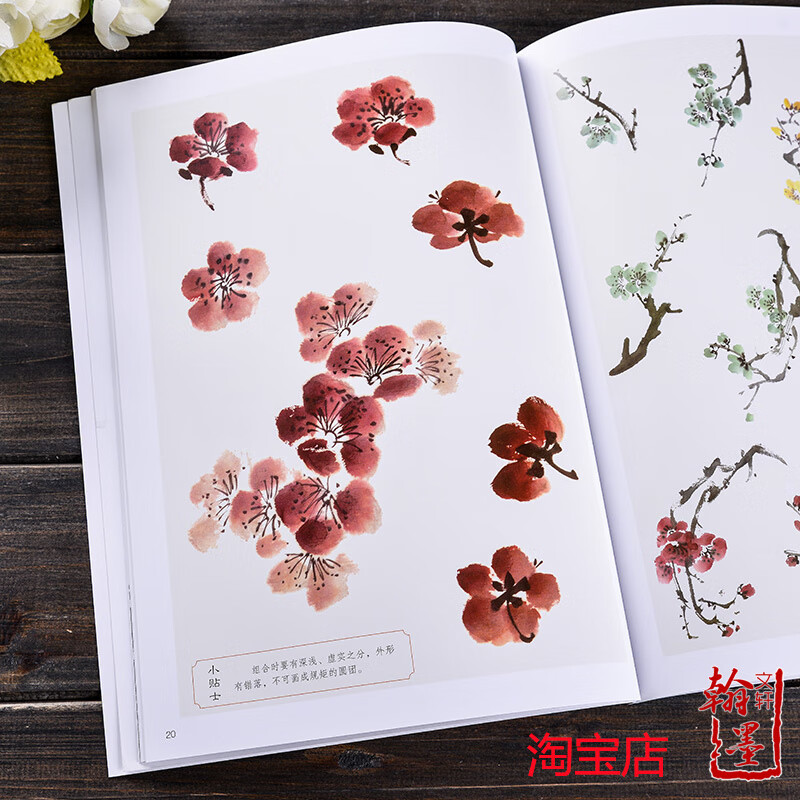 写意梅花妙笔丹青系列中国写意画规范教程国画基础教程步骤解析