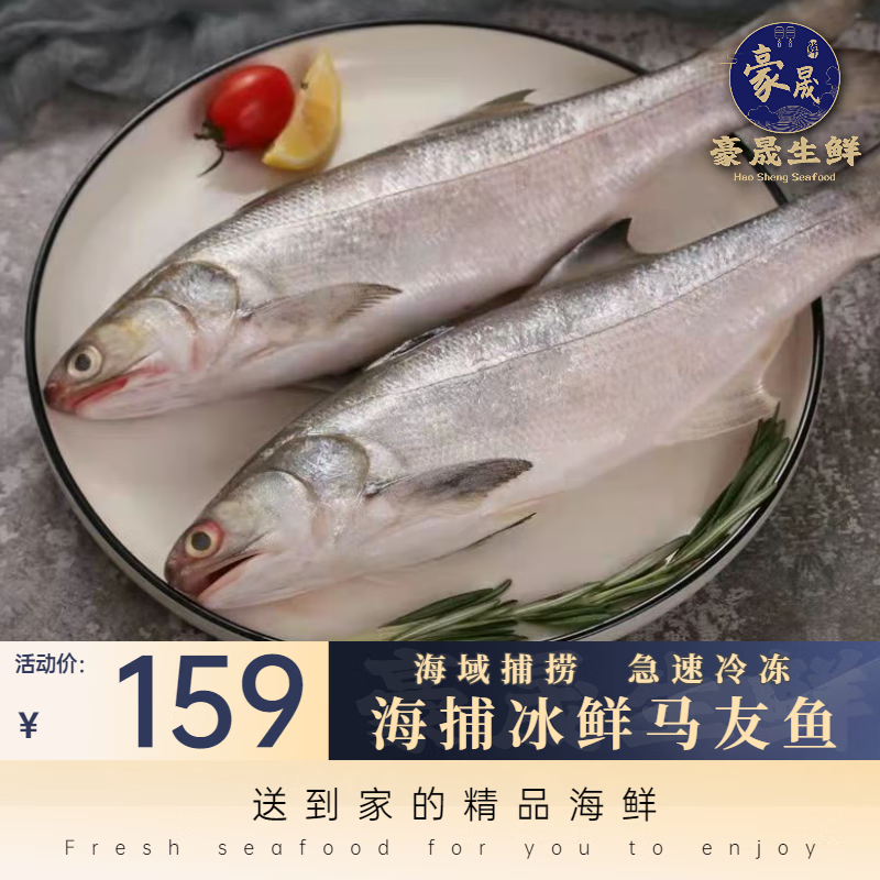 马友鱼午笋鱼海鱼新鲜海捕冷冻海鲜水产大午鱼午仔鱼 【冰鲜】500g/条