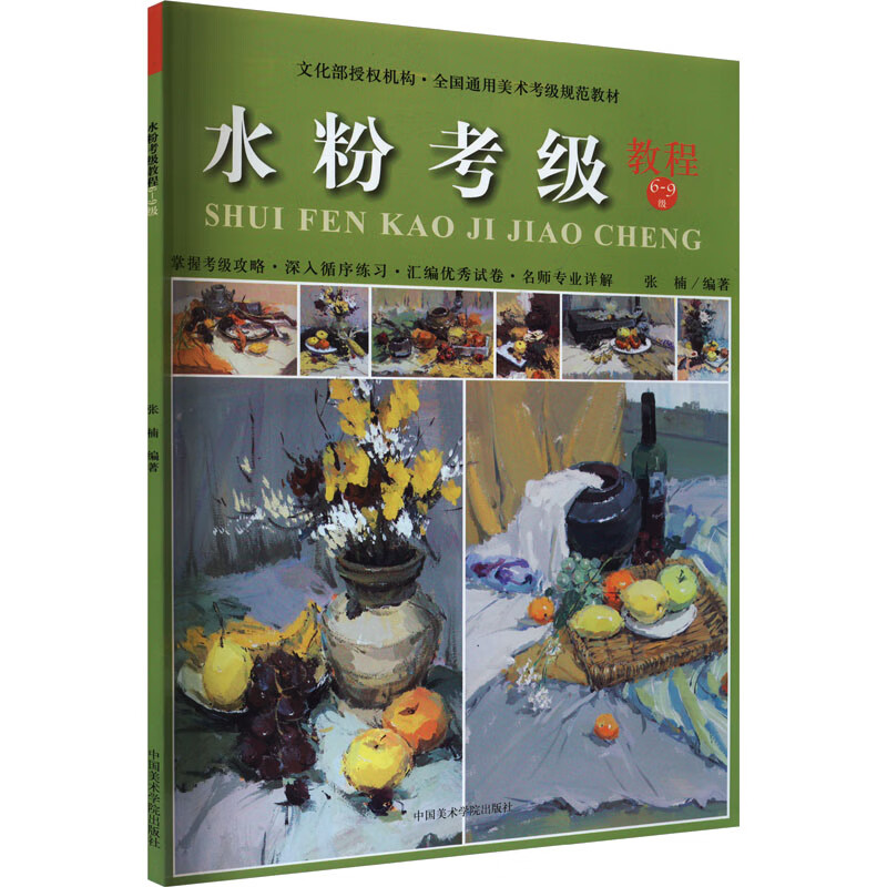 水粉考级教程 6-9级 图书
