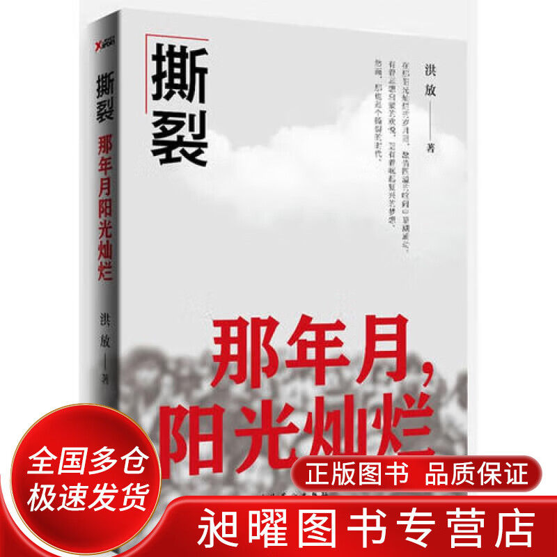 撕裂【正版书籍,畅读优品】