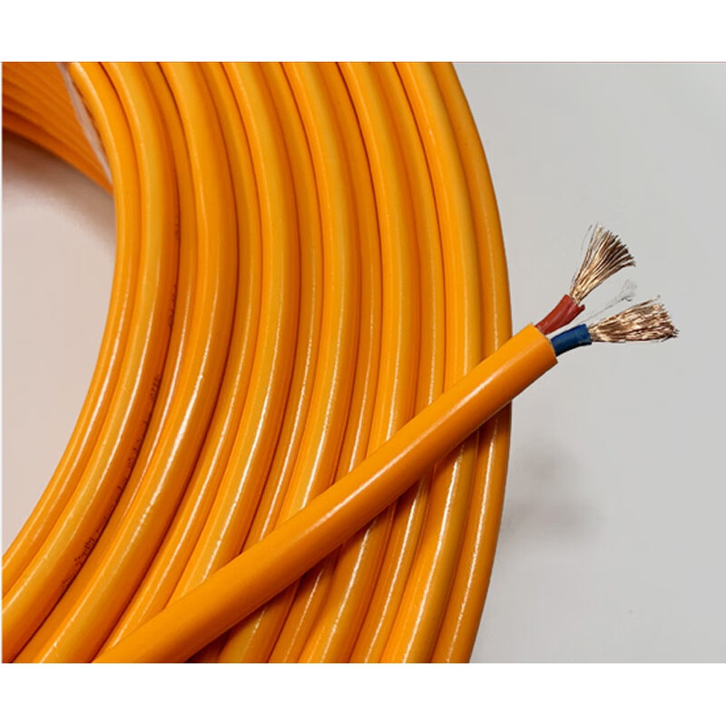 电线国标电缆线2芯大功率家用水延长带2.5/4平冻 国标2芯1.