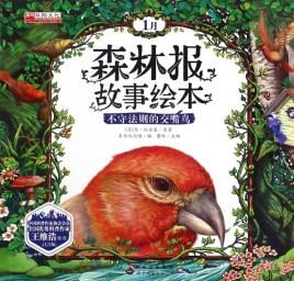 不守法则的交嘴鸟