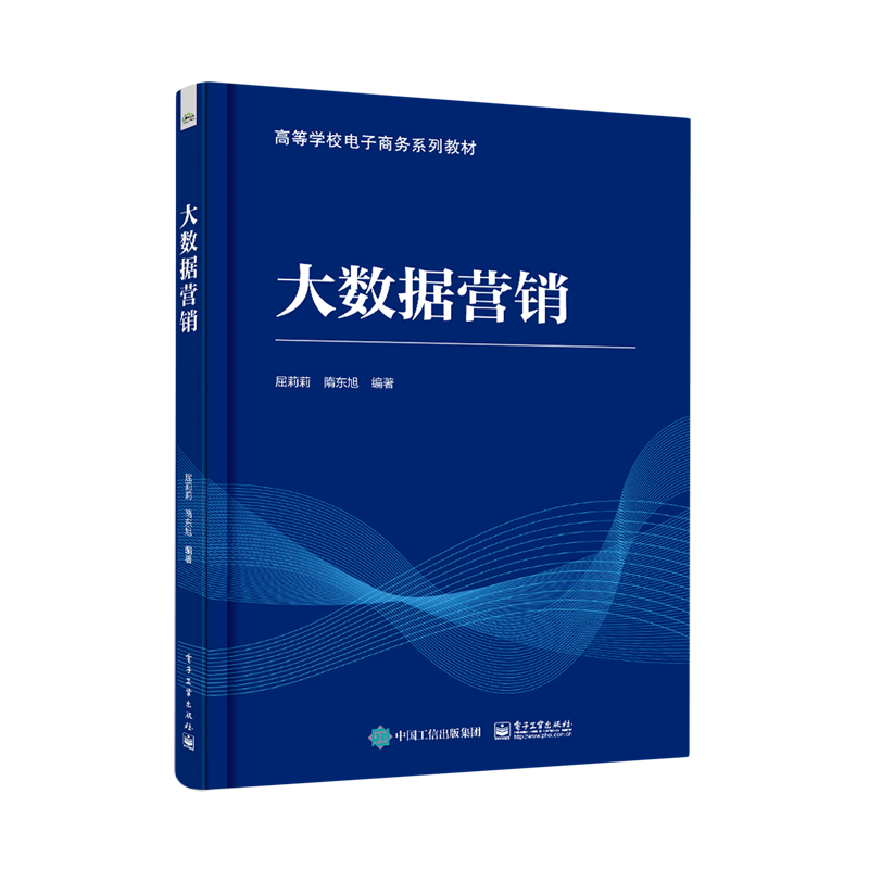 大数据营销(高等学校电子商务系列教材)