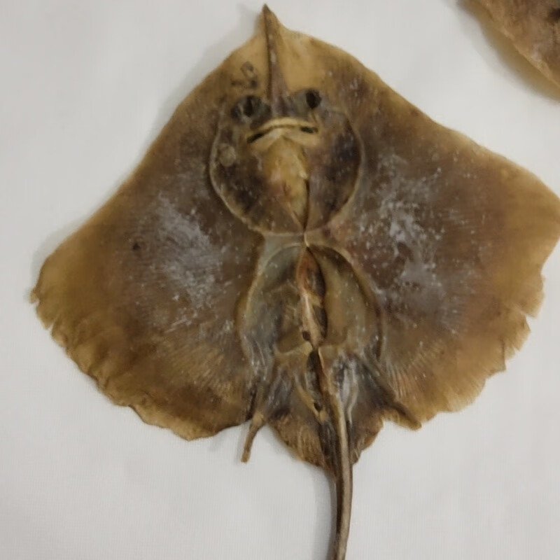 上饶皮鱼干老板鱼干孔鳐鱼夫鱼魔鬼鱼鲽鱼淡晒瑶鱼劳鱼干海鲜干货