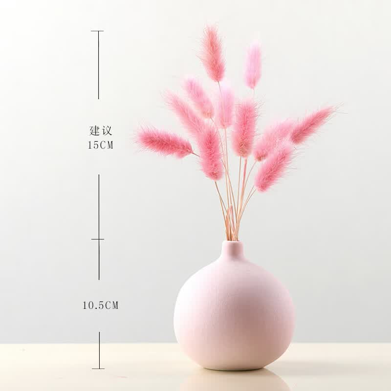 美学黑客 干花花束莫兰迪花瓶北欧干花装饰桌子摆件清新插花卧室森系干花 兔尾草含瓶怎么样,好用不?