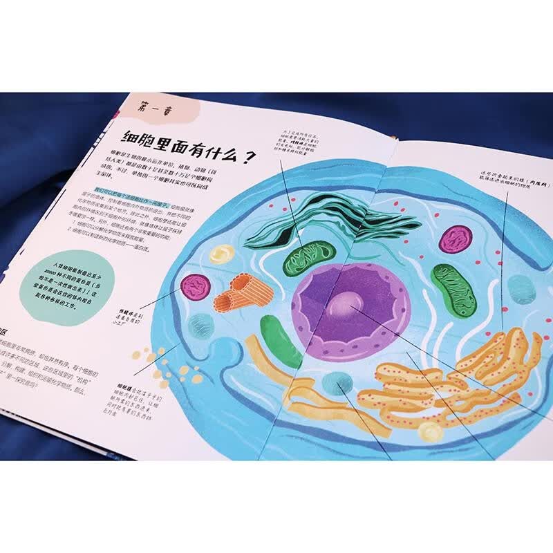 人体亿万细胞之国 少儿科普百科 趣味科普 初中生物 生物细胞学教授倾情推荐！（8-14岁）暑假阅读暑假课外书课外暑假自主阅读暑期假期读物详情图
