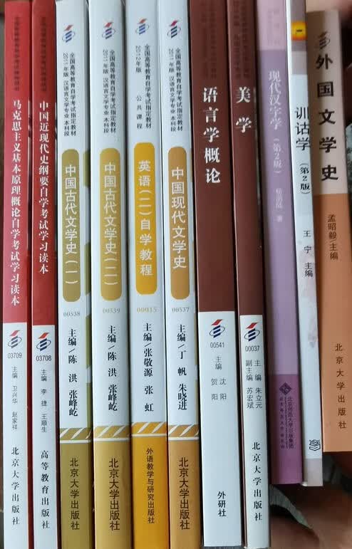 自考教材全套 汉语言文学（本科）01C1501公共课+必考课 全套 11本