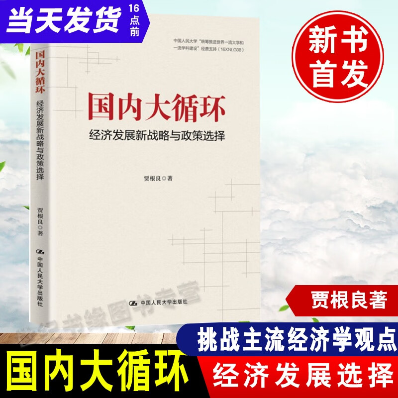 正版书籍 大循环贾根良经济发展新战略与政策选择中国人民大学出版社党政领导经济学者企业界关心宏观