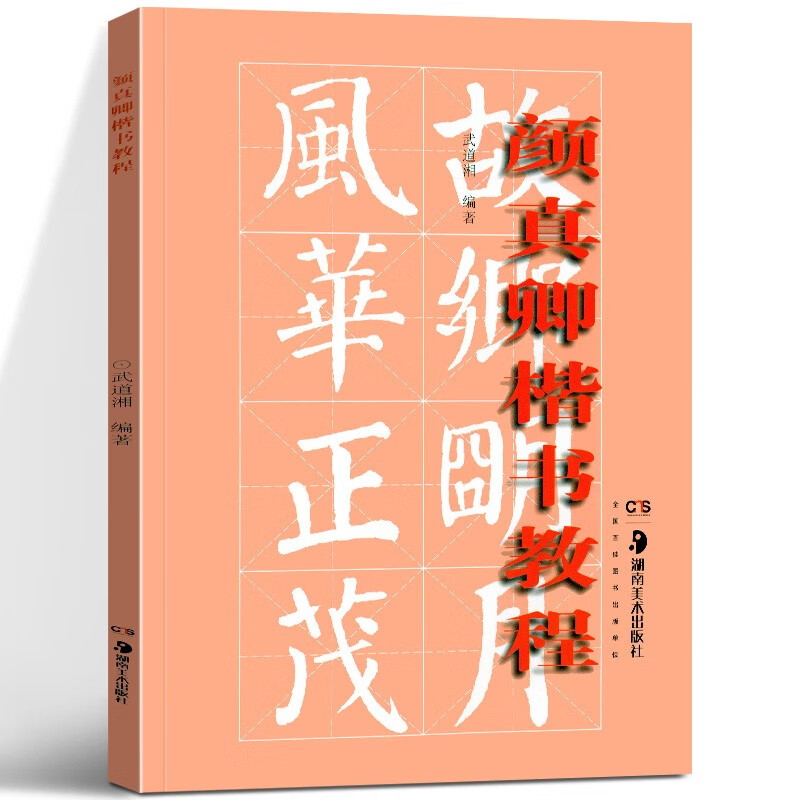 颜真卿楷书教程 湖南美术出版社