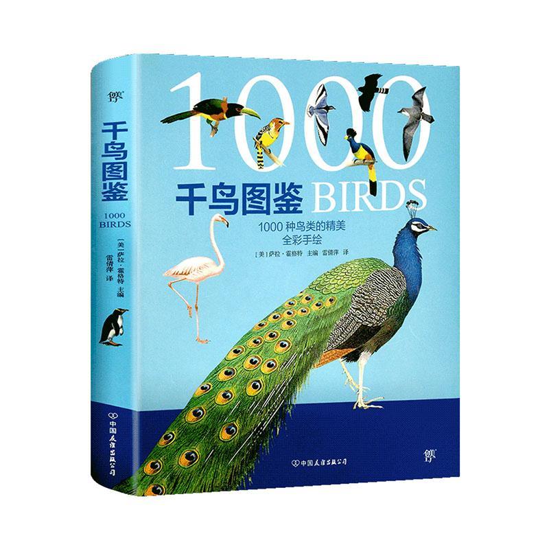 千鸟图鉴 科普读物 9787505747869