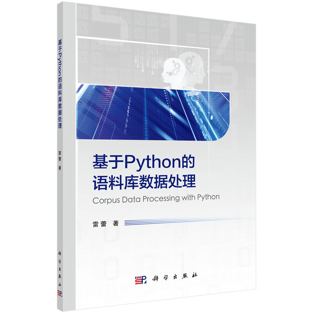 基于Python的语料库数据处理详情图