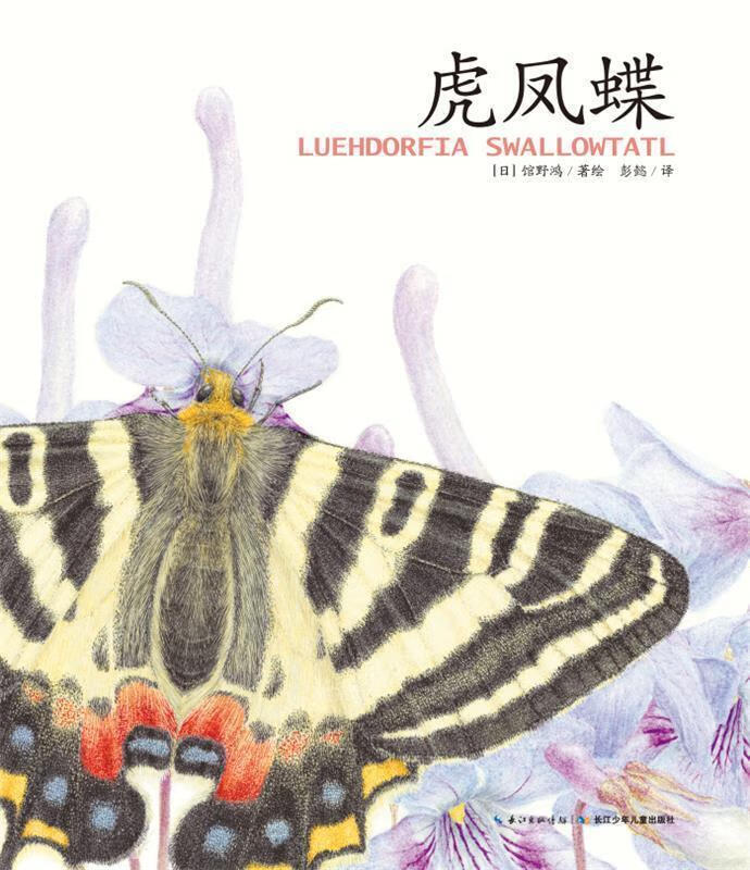 馆野鸿科学绘本:虎凤蝶 馆野鸿【正版书】