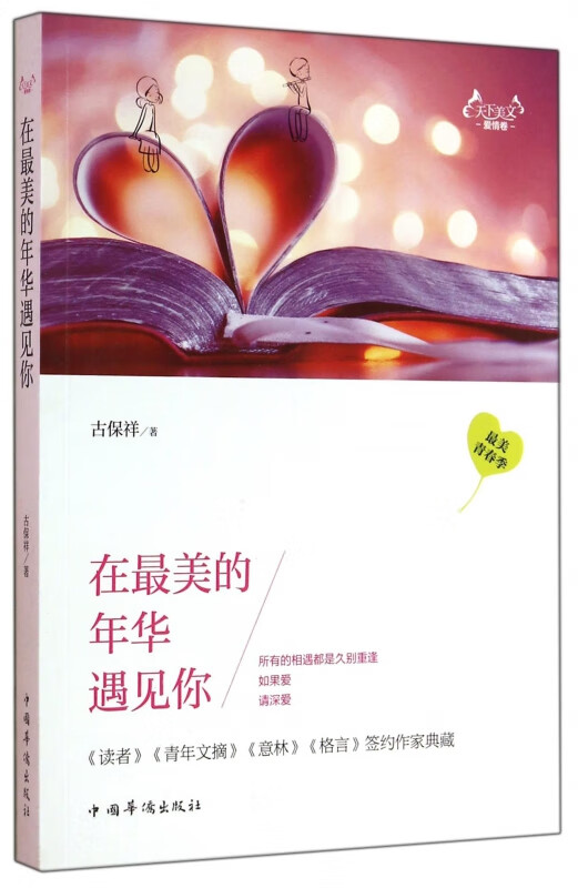 在最美的年华遇见你(天下美文爱情卷)