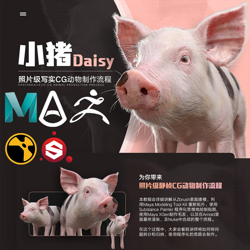 maya zbrush sp照片级写实cg动物《小猪daisy》制作全