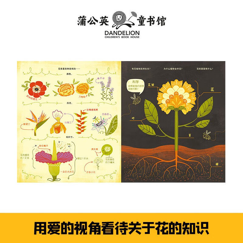花的里面有什么 儿童绘本3-6岁图画植物科普书幼儿园小中大班宝宝观察力认知力训练游戏书详情图