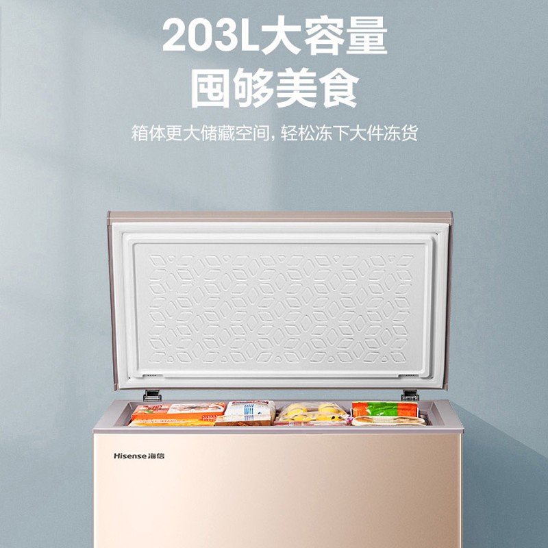 海信 (Hisense) 203升 一级能效家用冰柜 冷藏冷冻转换冷柜 节能省电单门冰箱金色BD/BC-203NUD
