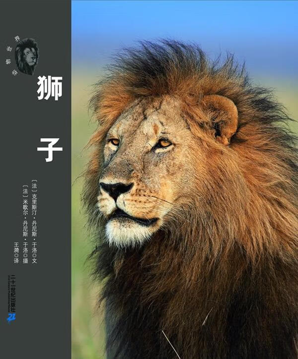 荒原兽王--狮子 动物世界大写真
