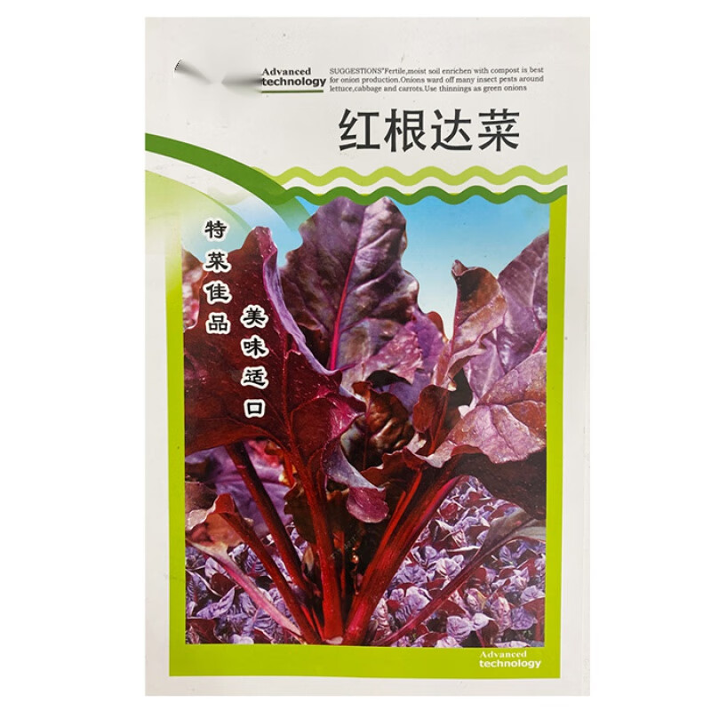 以琛红根达菜种子蔬菜种子四季播种易成活红根达菜 红根达菜