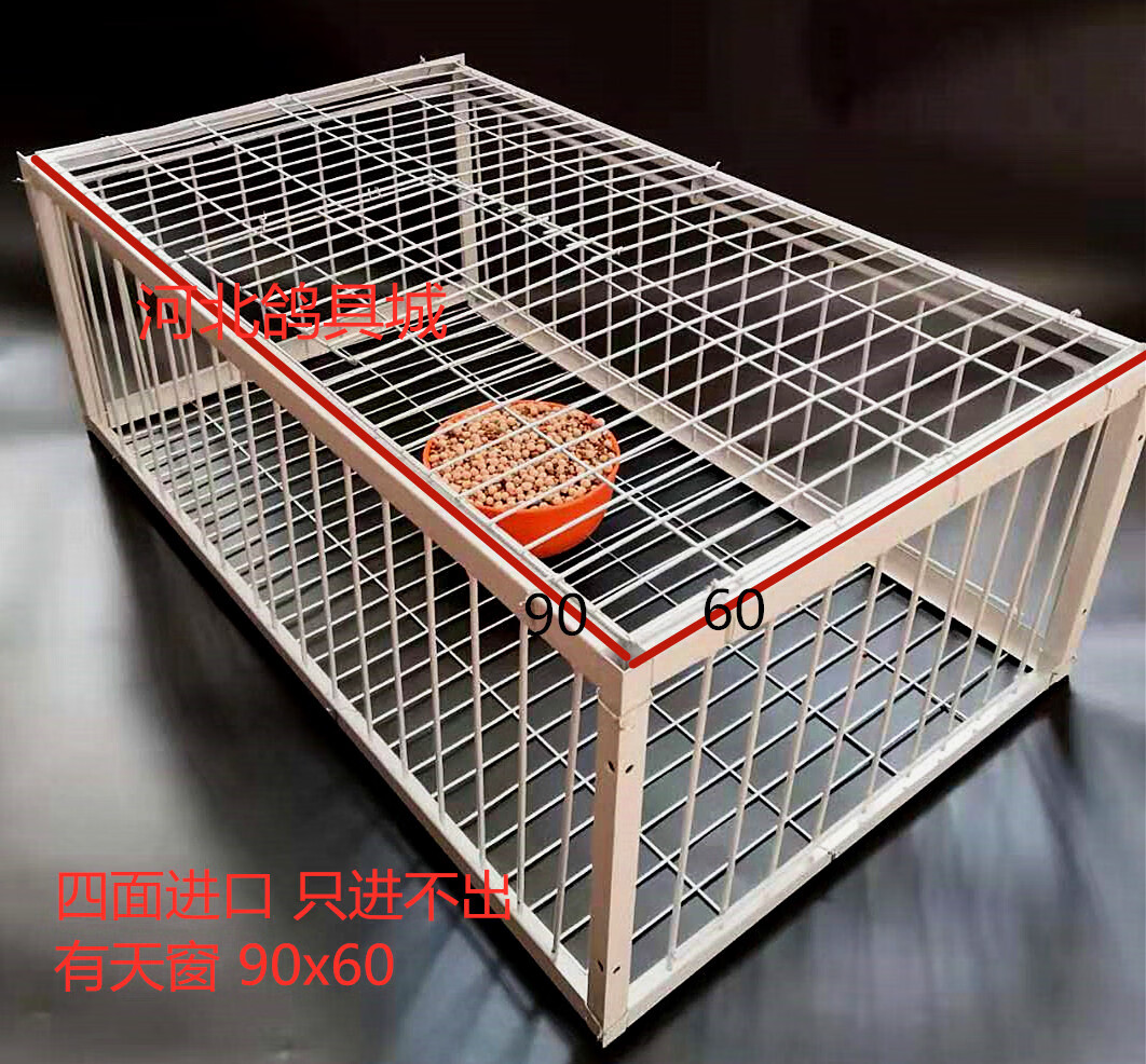 捕鸽神器天落笼只进不出鸽子笼自动跳门撞门笼鸽子用品用具撞门笼 70x40《2个进口》撞门笼子怎么看?