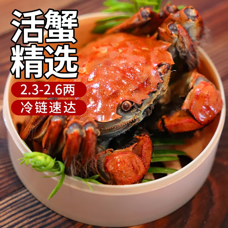 【活蟹】蟹家长鲜活大闸蟹现货生鲜六月黄大螃蟹活鲜礼盒水产实物 六月黄2.3-2.6两10只