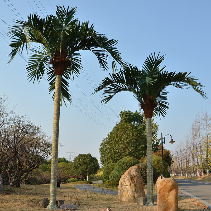 立始仿真椰子树大型人造景观树热带绿植装饰假椰树叶子仿生假树棕榈树