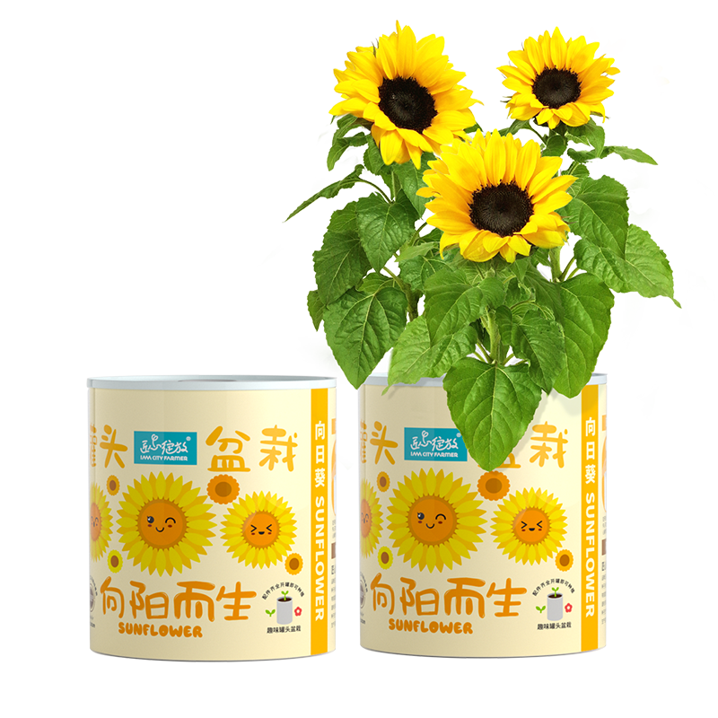 科学盒子实验套装价格行情最新报价走势图|科学盒子实验套装价格历史