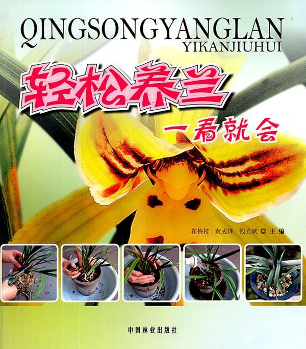 轻松养兰一看就会/翟梅枝/家居/9787503861635