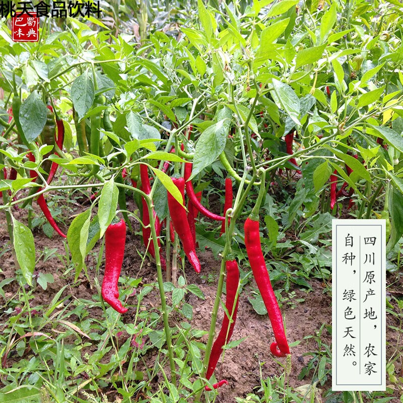 花仙笙(gearss)微辣特香二荆条红辣椒四川特产二斤条干辣椒250g辣椒油