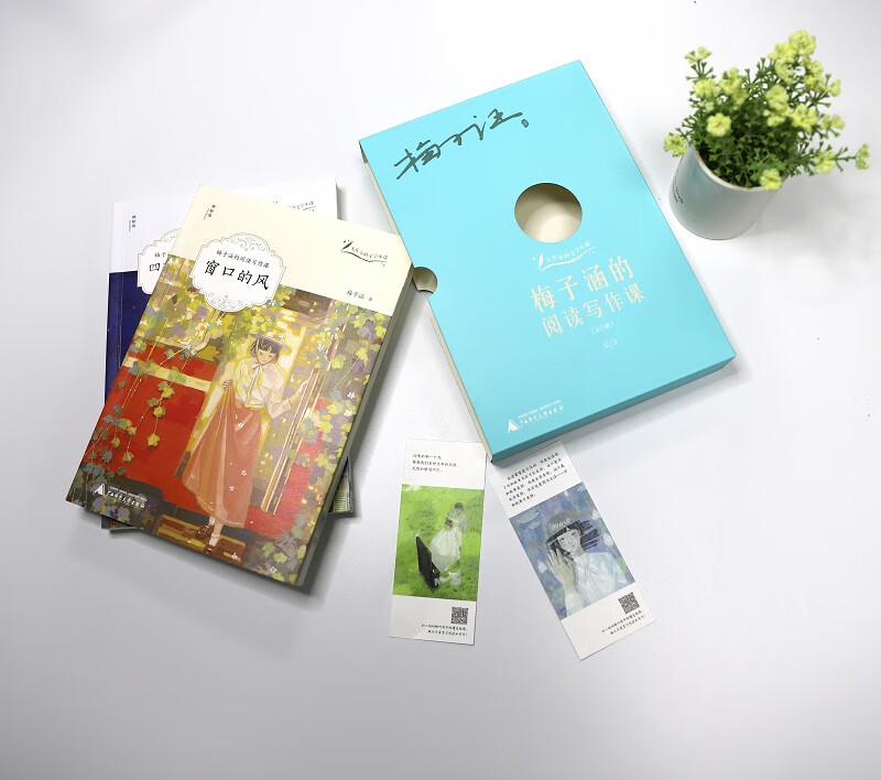 大作家的文学小课：梅子涵的阅读写作课（套装全2册）（神秘岛）详情图