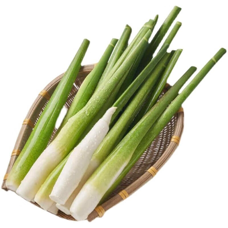 预售湖北新鲜茭白菰笋茭笋茭儿菜农家蔬菜食用沙拉 3斤