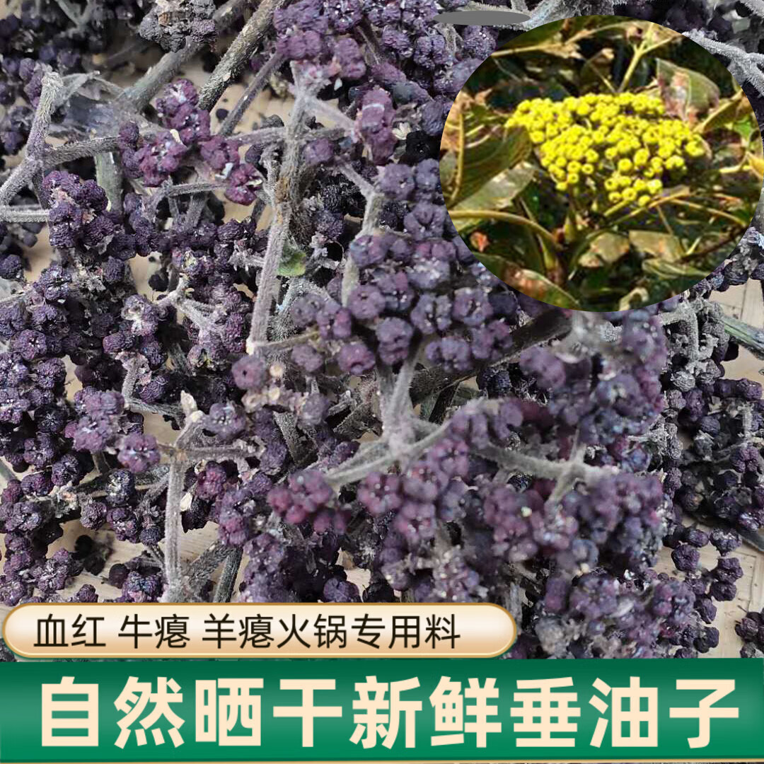 花仙笙(gearss)吴茱萸新鲜垂油子捶油子锤油子贵州农家特产牛瘪羊瘪