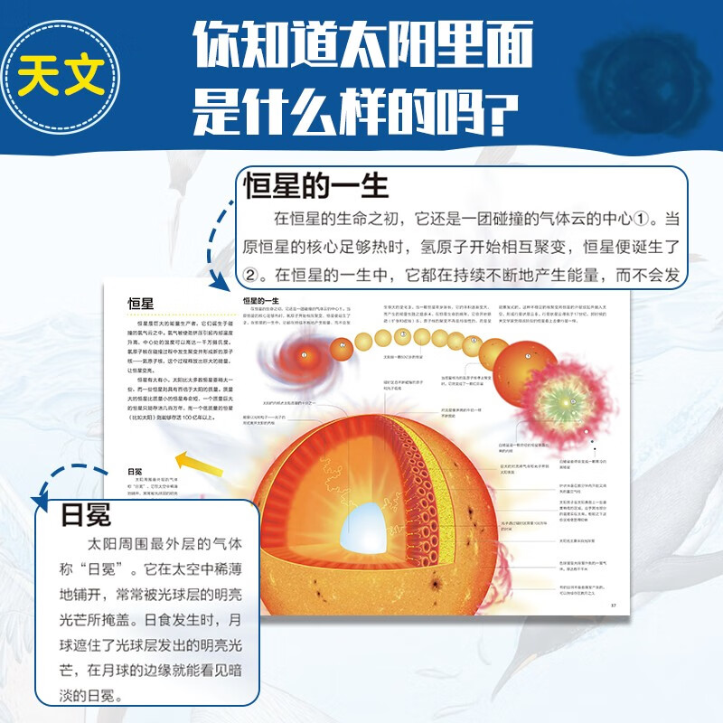万物运转的秘密（全10册）儿童科普百科全书亲子共读启蒙读物博物大百科小学生 7-10-14岁一二三四五年级课外阅读 大开本更清晰 高清透视图