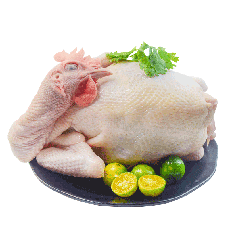 潭牛 140天文昌鸡 供港品质老母鸡散养1kg椰子鸡 生鲜鸡肉 冷冻