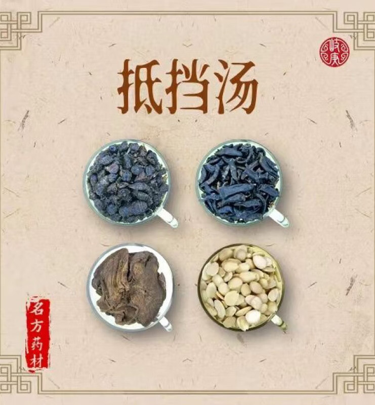 抵挡汤抵当汤中药材原料水蛭桃仁大黄牛虻可加减内廷上用 一件3副