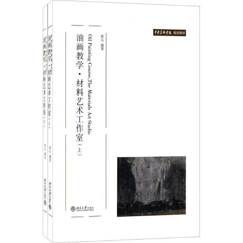 油画教学 张元 编著 大中专文科文学艺术 