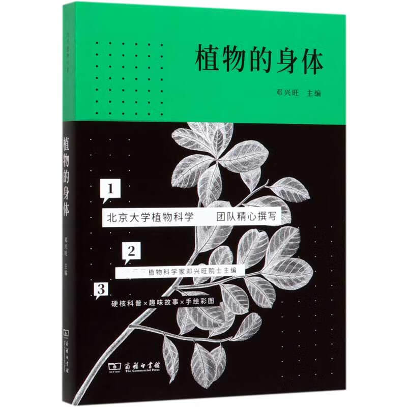 植物的身体