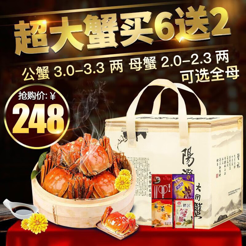 【活蟹】阳澄佳缘大闸蟹 现货鲜活大螃蟹  海鲜水产生鲜礼盒 公3.0-3.3两母2.0-2.3两4对8只装