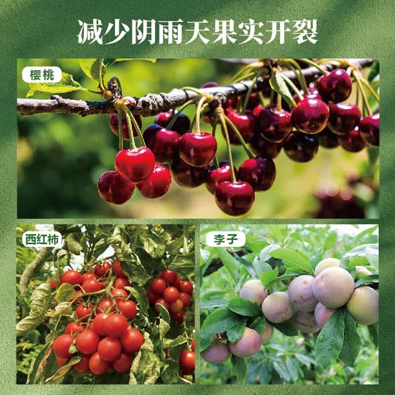 海德龙日本进口昆士汀甜菜碱樱桃防裂果 阳光玫瑰葡萄亮果剂去果粉果绣 200g/袋