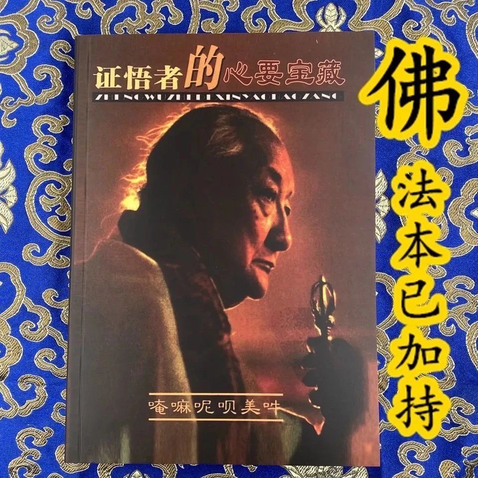 证悟者的心要宝藏 顶果钦哲法王