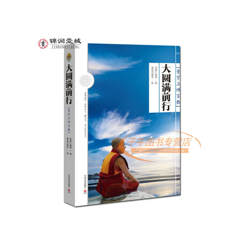 现货拍下即发 大圆满前行:普贤上师言教 